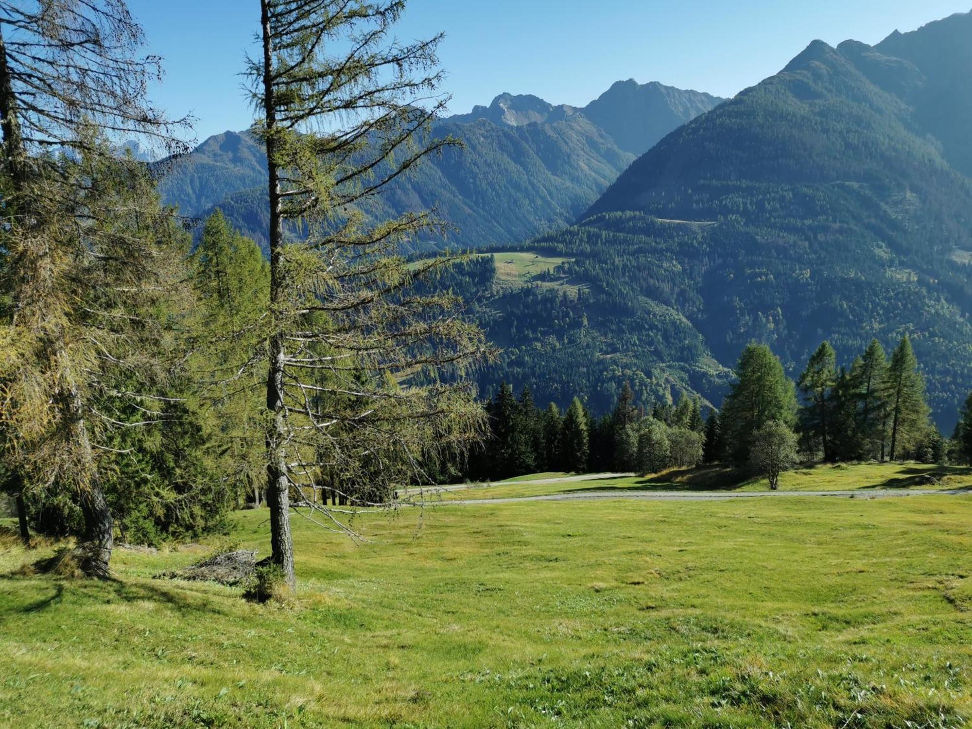 Wipferl - Dein Nest In Den Bergen * Maria Luggau